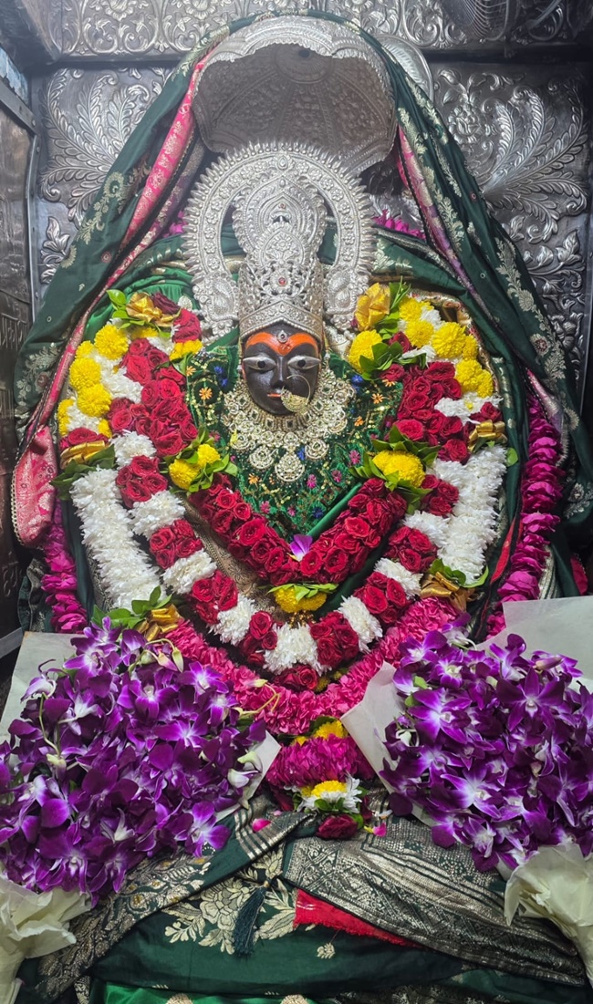 naidunia_image